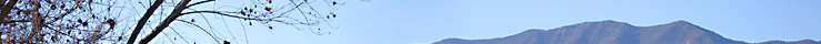 Cottonwood Real Estate