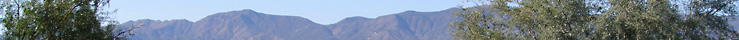 Cornville Real Estate