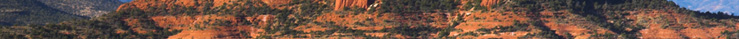 Sedona Luxury Real Estate Expert Lee Congdon