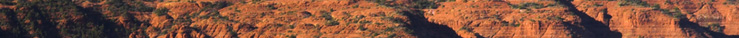 Northern Arizona and Sedona horse property specialist, Lee Congdon